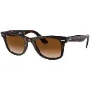 Wayfarer clásico carey/marrón degrade